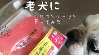 老犬にシリコンブーツを買ってみました