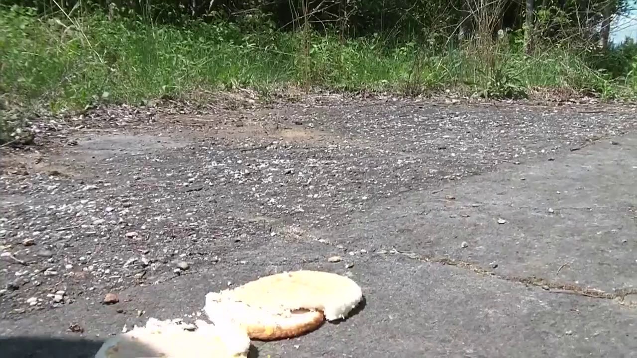 Burger crush/food crush in dirty wedges