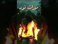 ميراث نور القصة كاملة على القناة ميراث نور القصة كاملة على القناة