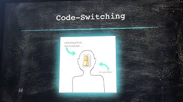 Cross-Linguistic Influence and Code-Switching