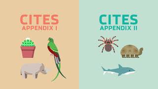 Supporting Sustainable Trade of CITES Species