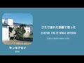 キンモクセイ(금목서) / [オレンジスパイにクラブ] 한국어 가사