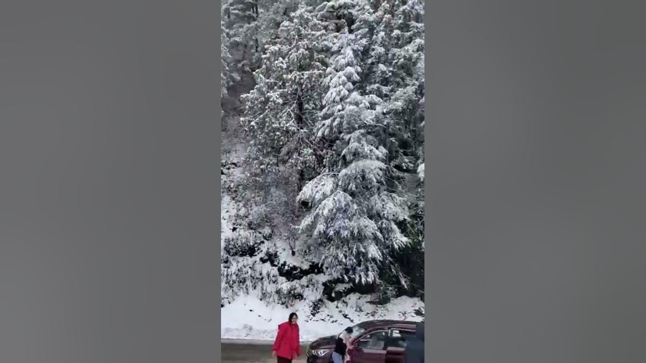Snow fall in Manali snow snowfall YouTube