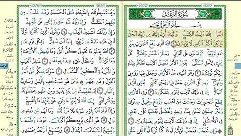 سورة الرعد مصحف التجويد مكتوبة كاملة بصوت الشيخ فارس عباد
