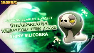 The Glare of A Yellow-Eyed Desert Snake! | Shiny Silicobra Reaction in Pokémon Scarlet & Violet