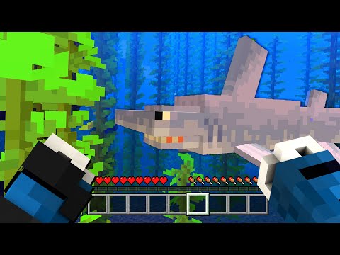 Video: Minecraft aggiungerà gli squali?