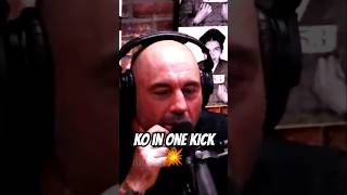 When You Google Rogan Kickboxing… 😱 Profile