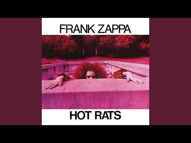 Frank Zappa - Little Umbrellas
