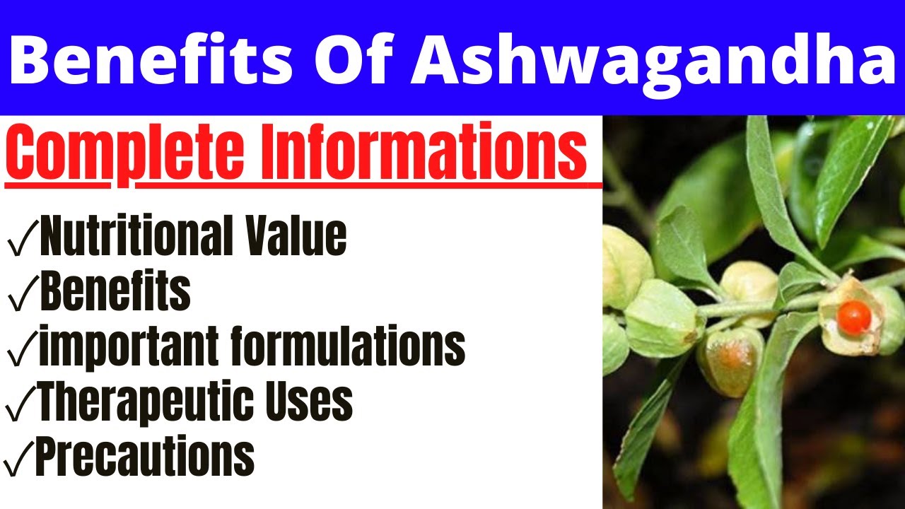 Ashwagandha como tomar