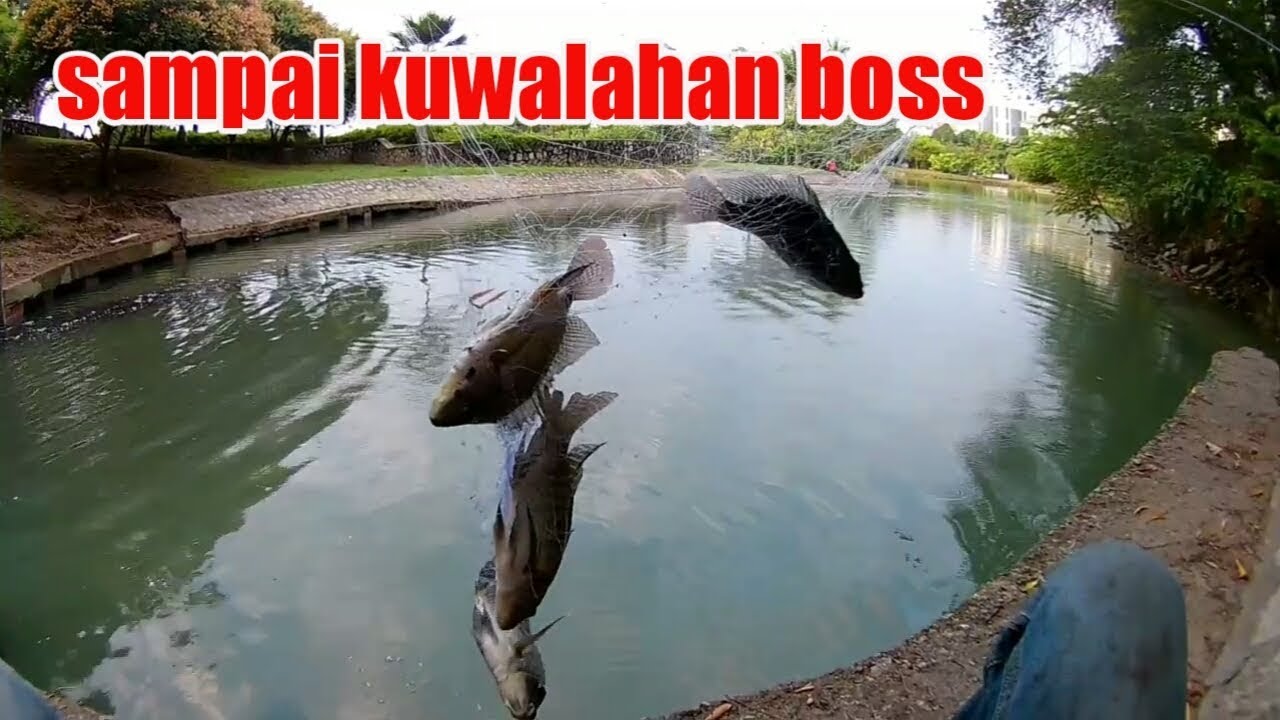 SAMPAI KUWALAHAN !! mancing ikan nila pakai pancing jaring/spring bom