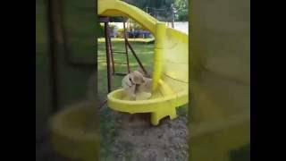 Harley N Bailey on Slide