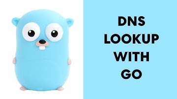 GO DNS Lookup Tool - DIG Clone