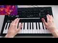 Funky minilogue xd live looping to drums by max sansalone dimsunk
