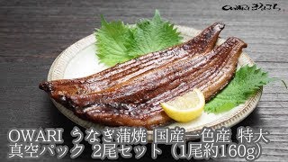 OWARI うなぎ蒲焼 国産一色産 特大 真空パック 商品紹介