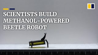 Scientists build methanol-powered beetle robot