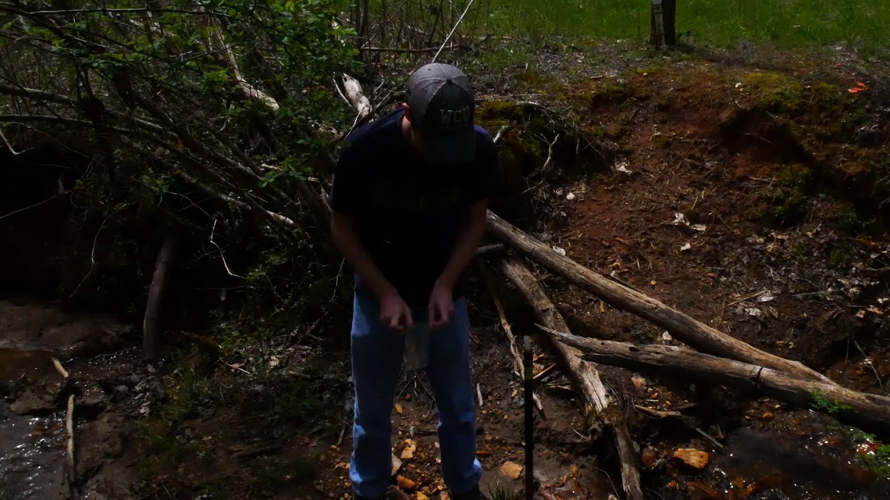 Field Herping Techniques YouTube