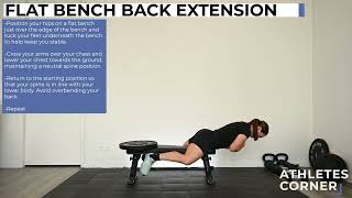 Famous Flat Bench Back Extension Wealth