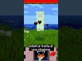 LA VERSIONE SEGRETA DI MINECRAFT