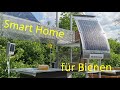 Smarthome für Bienen - Plus Energie Haus für gesündere Bienen?