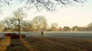 Dogs Trust - Rehoming Ad Running Scene