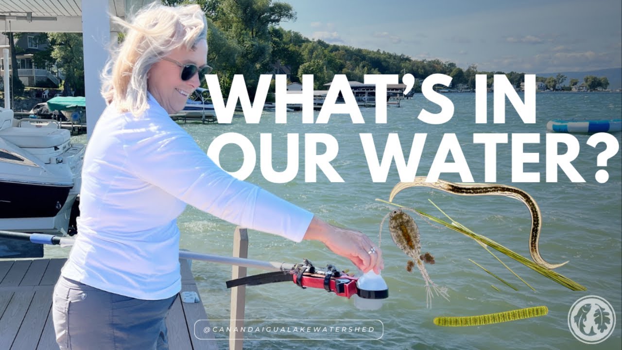 What's in Our Lake Water?