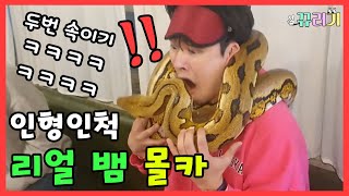 (ENG SUB) Snake hidden camera(feat.Anaconda)