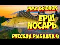 русская рыбалка 4 - Ёрш Носарь река Вьюнок - рр4 фарм Алексей Майоров russian fishing 4