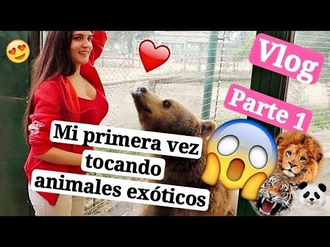 PETTING LIONS TIGERS AND LIGERS - VLOG PART 1 best ever video song download