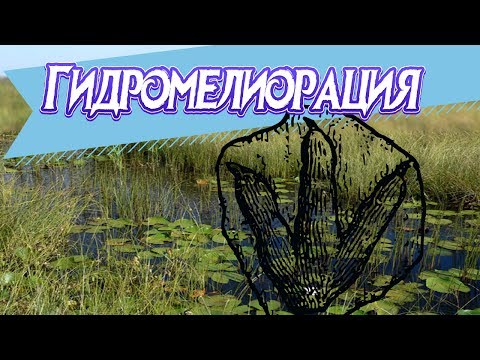 Гидромелиорация