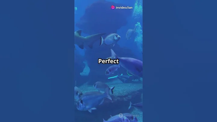 Exploring New Jersey: Hidden Gems & Must-See Spots!