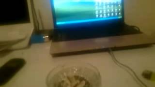 Fahad Alanazis Live Broadcast 2015-02-03