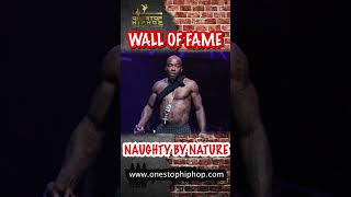 NAUGHTY BY NATURE celebrating the career and achievements - One Stop Hip Hop Wall Of Fame #shorts