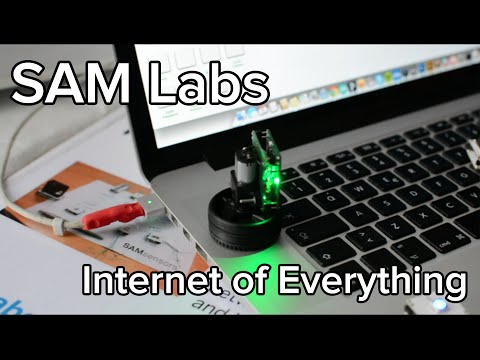 SAM Labs and Things for Internet