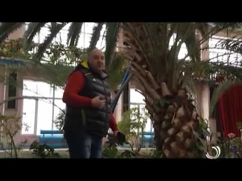 ტურისტი / ყაზახეთი-7 / 6 02 2015