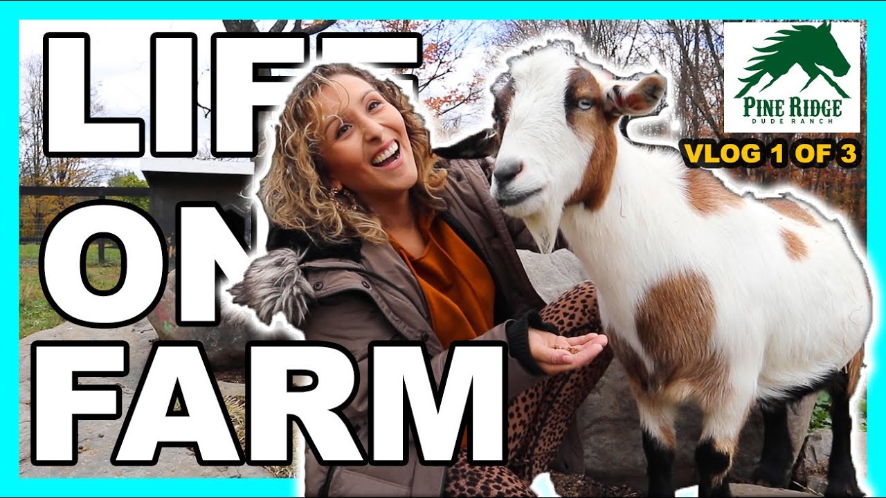 LIFE ON THE FARM | DAY IN THE LIFE - YouTube