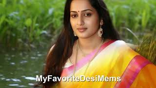 Silk Saree Beauty Indian Lady In Shiny Silk Saree