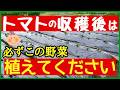 【裏技】トマトの収穫後に植えるだけで収穫量が2倍になる野菜とダメな野菜を全て紹介します
