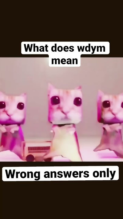 what-does-wdym-mean-wrong-answers-only-youtube