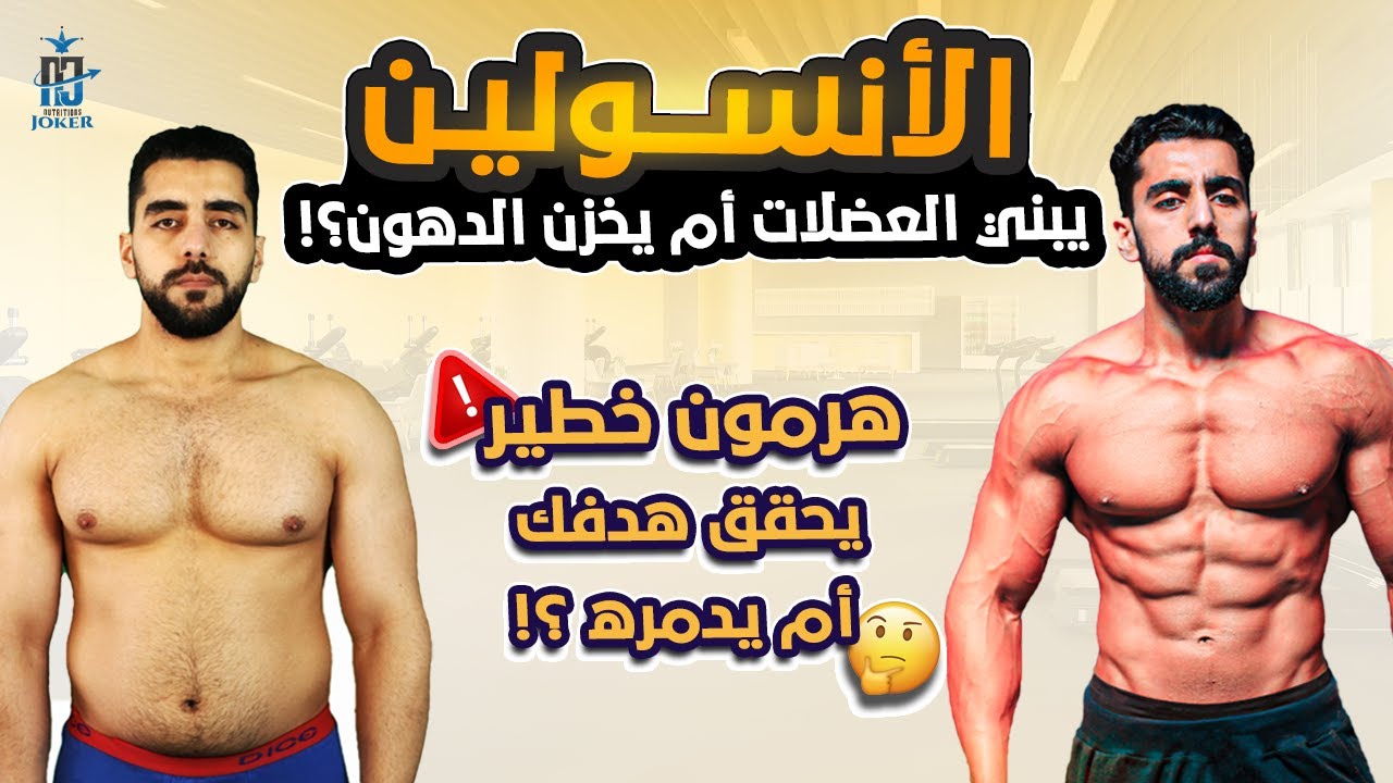 هرمون الأنسولين ودوره في بناء العضلات وتخزين وحرق الدهون