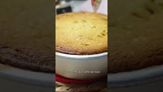 MY BIGGEST CAKE FAIL #shorts Net Worth
