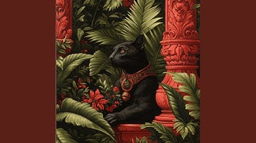 The Road to Conquest