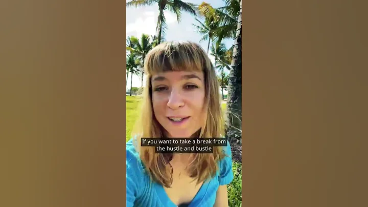 5 Things to do in Miami Beach | #shorts