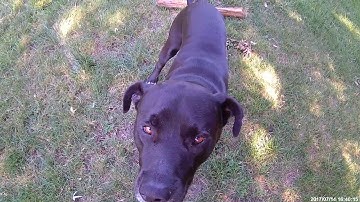 Video test, polaroid cube plus