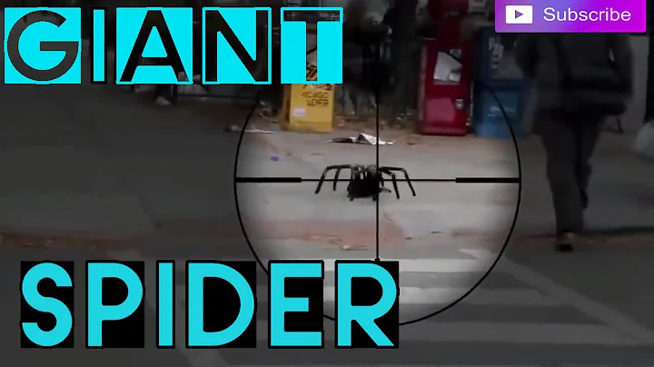 Giant Spider Prank | Big Spider On The Street |  Best Funny Scary Pranks ✔