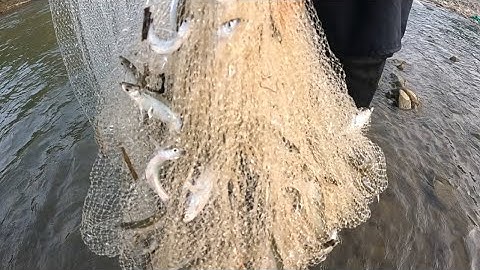 Cá Suối Nướng Lá Chuối 