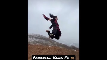 Powerful Tiger Kung Fu 🥋🐅