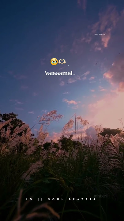 Nyabagam🥺💗love song💗relatable💕WhatsApp status#shorts#whatsappstatus#love#soulbeatz#youtube#memories