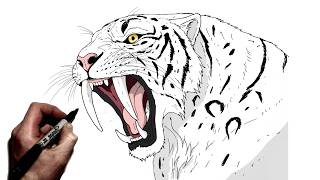 How To Draw A Saber Tooth Tiger | Step By Step |