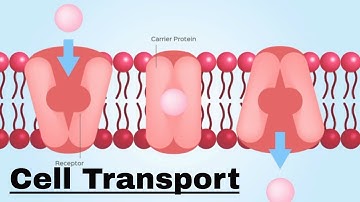 Cell transport- Passive and Active Transport