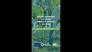 Intendentes plantaron árboles para mitigar el cambio climático